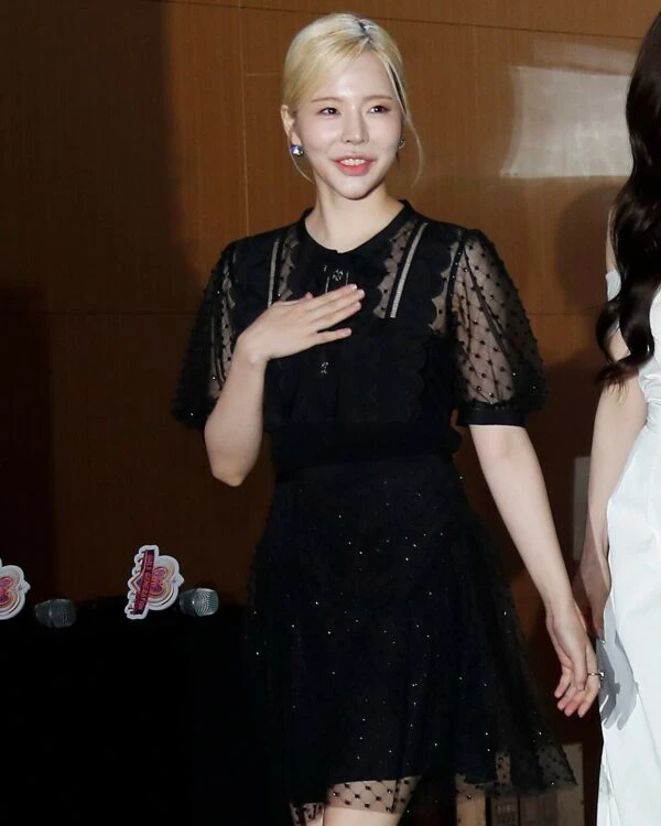 Black Diamond Mesh Doll Dress | Sunny - Girl Generation 12 Black Diamond Mesh Doll Dress | Sunny - Girl Generation - Image 10