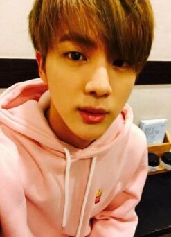 Pink Fries Hoodie | Jin - BTS -Amped Apparel DAaHLeRXUAAi8ls e1643804451806