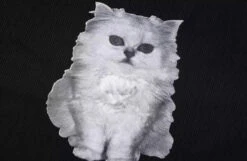 Black Cat Print Long Sleeve Top | Hanni - NewJeans 17 Black Cat Print Long Sleeve Top | Hanni - NewJeans -Amped Apparel Hanni NewJeans Black Cat Print Long Sleeve Top 6 600x391 1