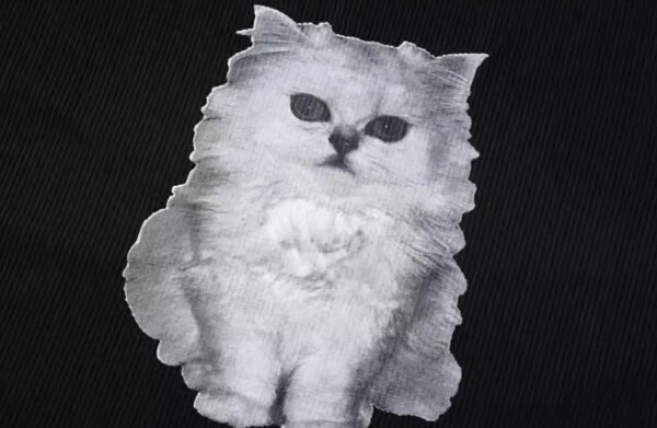 Black Cat Print Long Sleeve Top | Hanni - NewJeans 8 Black Cat Print Long Sleeve Top | Hanni - NewJeans - Image 6