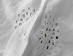 White Cut-Out Embroidery Shirt | Hyunjin - Stray Kids -Amped Apparel Hyunjin Stray Kids White Cut Out Embroidery Shirt 7 600x458 1