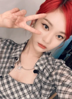 Black Sheer Plaid Shirt | Ningning - Aespa -Amped Apparel Ningning Aespa Black Sheer Plaid Blouse 8