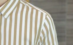 Brown And White Stripes Shirt | Sunoo - Enhypen 16 Brown And White Stripes Shirt | Sunoo - Enhypen -Amped Apparel O1CN01Kssp5G1GKDWTQusFH 3029330603 600x372 1