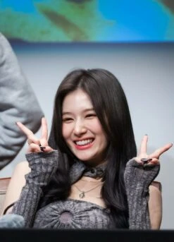 Grey Collared Top With Arm Sleeves | Sana - Twice -Amped Apparel Sana Twice Grey Collared Top With Arm Sleeves 14 600x832 1