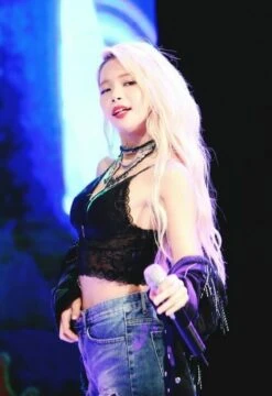 Black Lace Strap Crop Top | Solar - Mamamoo -Amped Apparel Solar Lace Shoulder Strap Tube Top Inspiration 1 e1710691216472